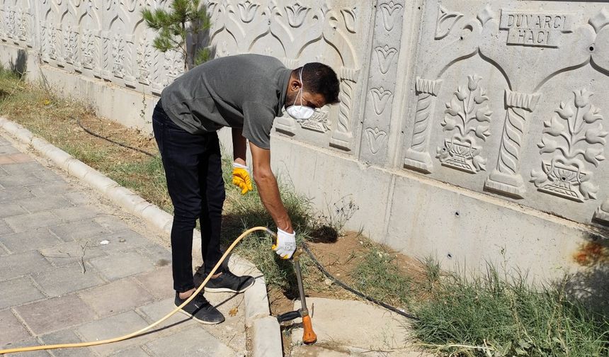 VETERİNER MÜDÜRLÜĞÜ SAHADA TETİKTE