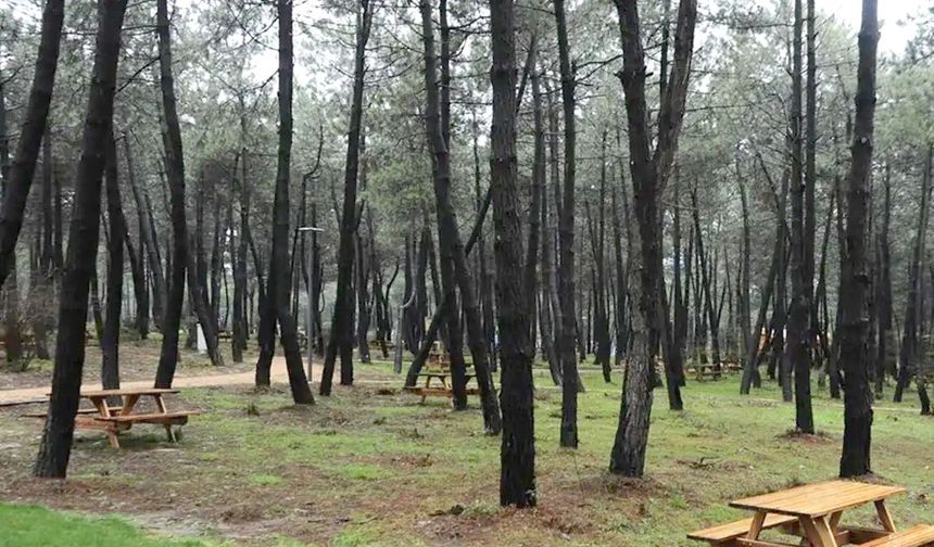 O İlde ormanlık alanlara giriş yasaklandı