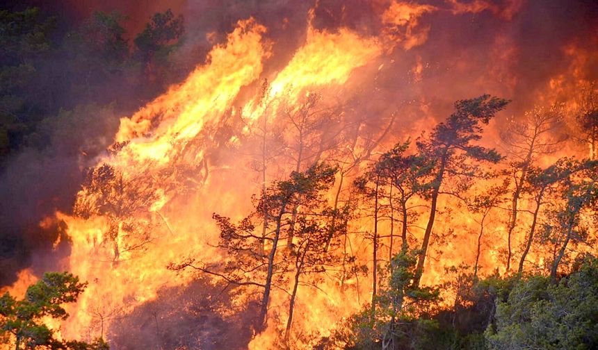 Hatay'da orman yangını rüzgarın etkisiyle yayılıyor