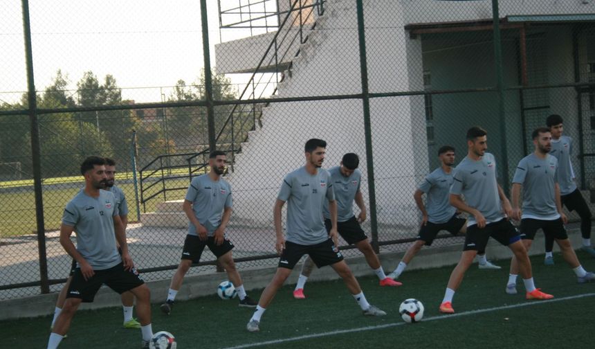 ŞAMPİYONLAR LİGİ GİBİ BAL GRUBU