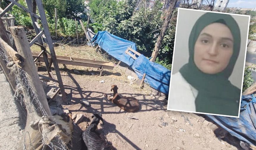 Hareketsiz yatan keçiye dokunan kadın, akıma kapılıp öldü