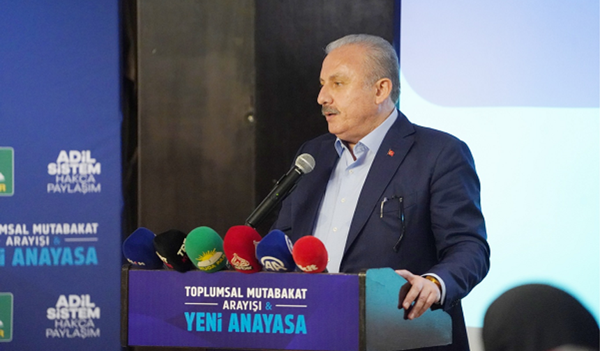 Eski TBMM Başkanı Şentop: Türkiye'de yaşayan herkes anayasada kendisini bulmalı