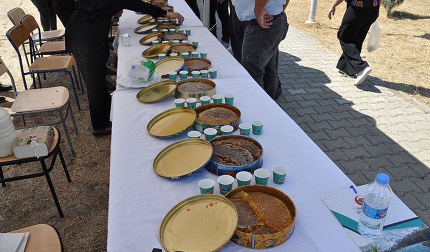 Sason Bal, Ceviz ve Çilek Festivali Coşkusu Başlıyor