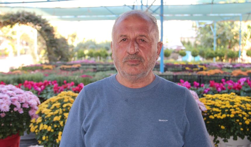 Bitki sezonu başladı: Kasımpatılar tezgâhlarda