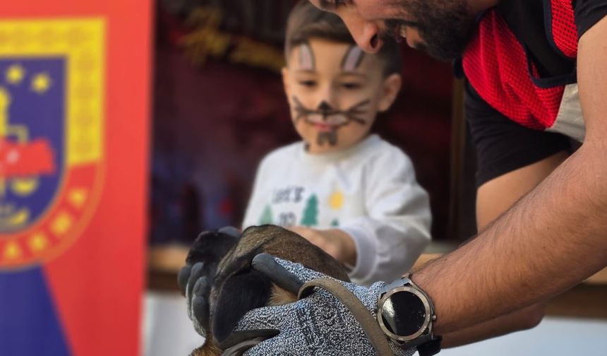 Fuarın Gözdesi Narkotik Köpeği Batik