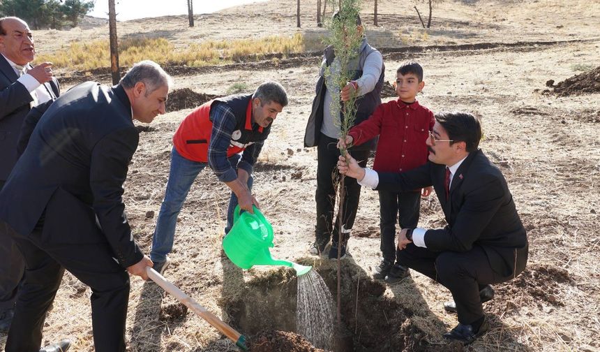Beşiri’de 102 Fidan Toprakla Buluştu!