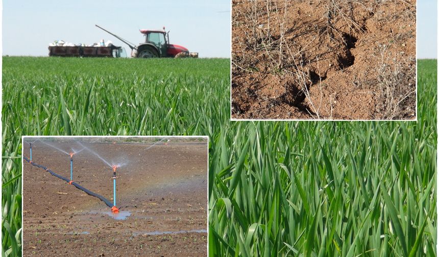 Kuraklık çiftçiyi vuruyor, tarıma destek artırılmalı