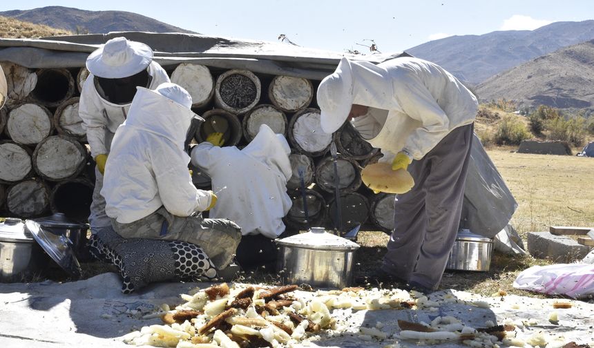 Bitlis’te kara kovan balının hasadı başladı