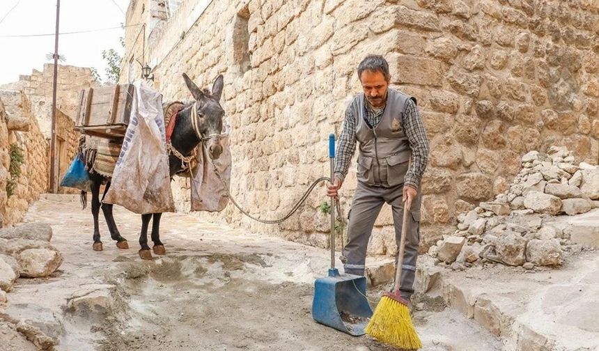 Mardin’de çöp taşıyan kadrolu eşekler emekli edilecek