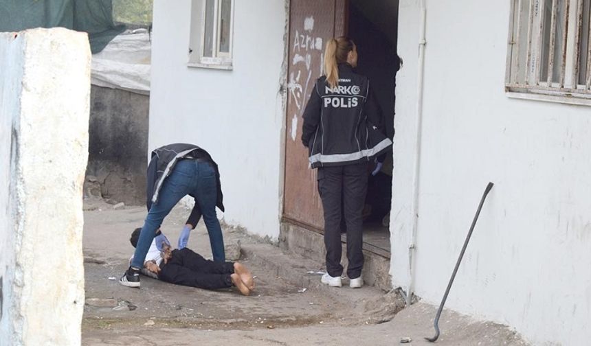 Narkotik köpekler ‘Mailo’ ve ‘Hector’ uyuşturucu operasyonuna katıldı