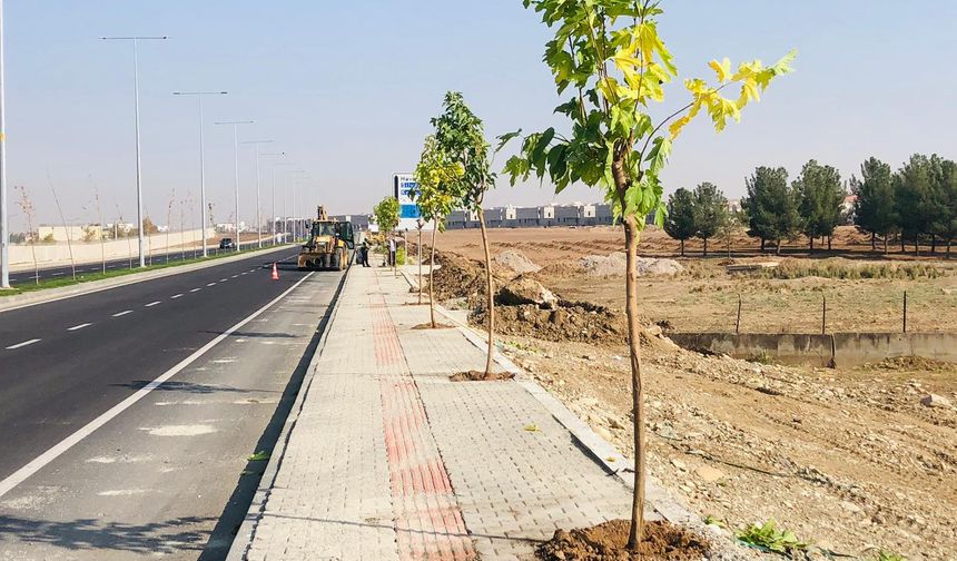 4.380 Metre Uzunluğundaki Bulvar Yeşillendiriliyor