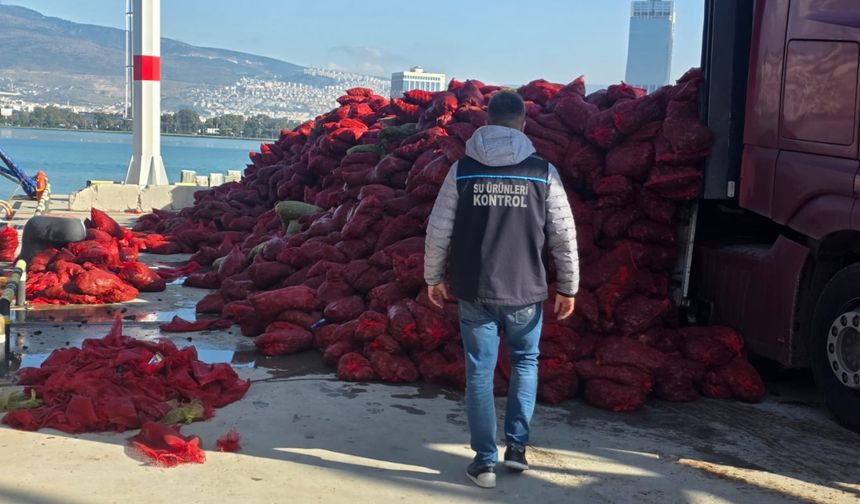 27 ton kaçak midye ele geçirildi
