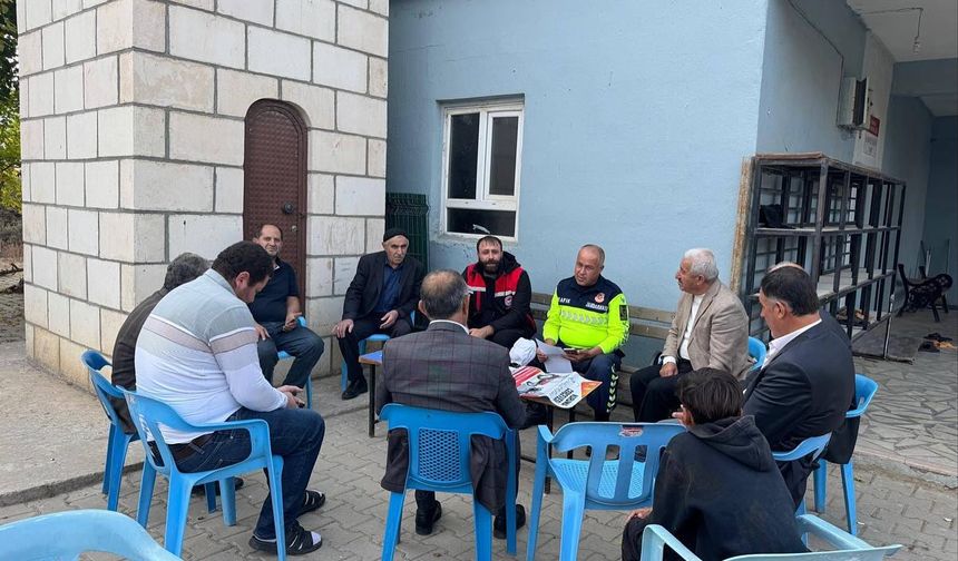 Karayolunda Başıboş Hayvana Geçit Yok