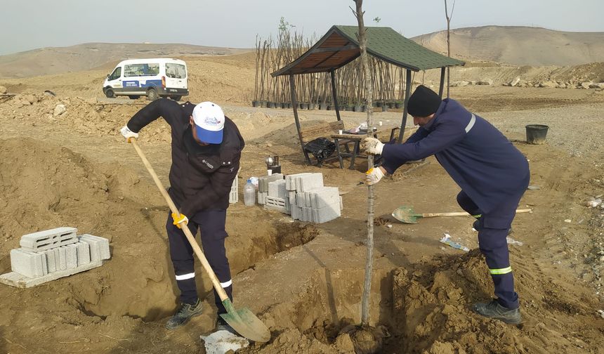 Mezarlığa Ağaç Dikim Yapıldı