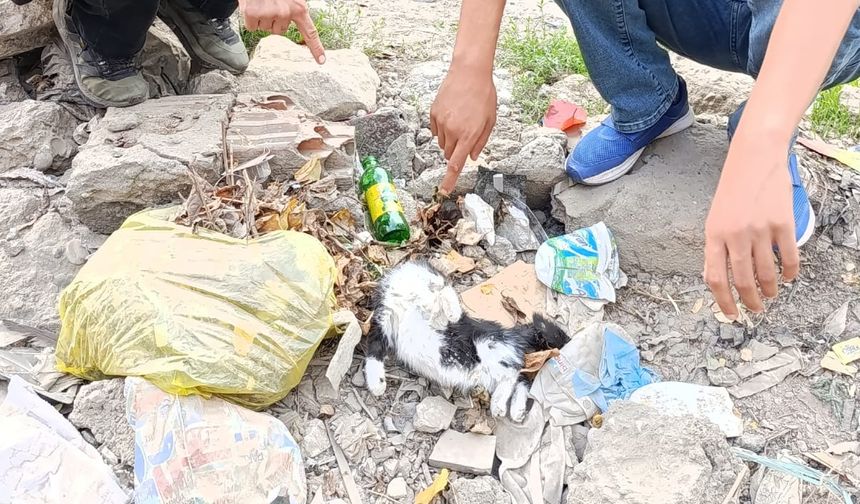 Madem Öldürtecektiniz, Neden Tedavi Ettiniz?