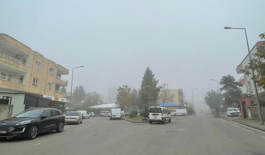 Batman’da Sabah Sisi Hayatı Olumsuz Etkiledi