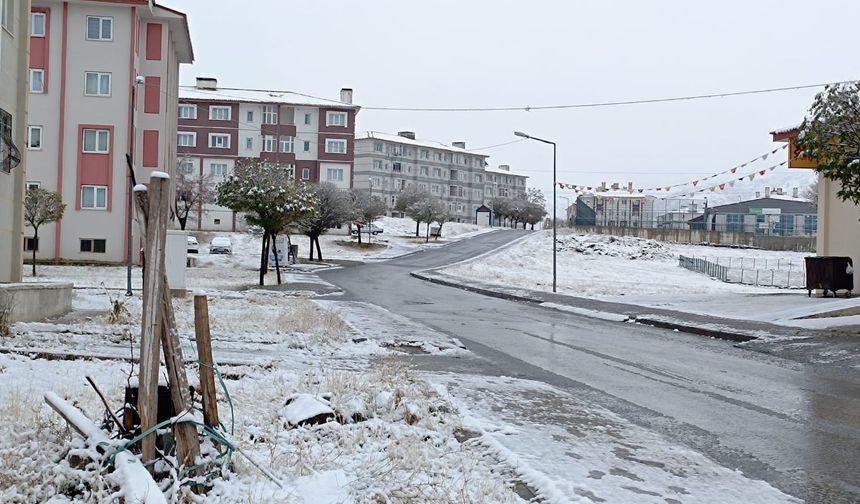 Bitlis mevsimin ilk karıyla beyaza büründü
