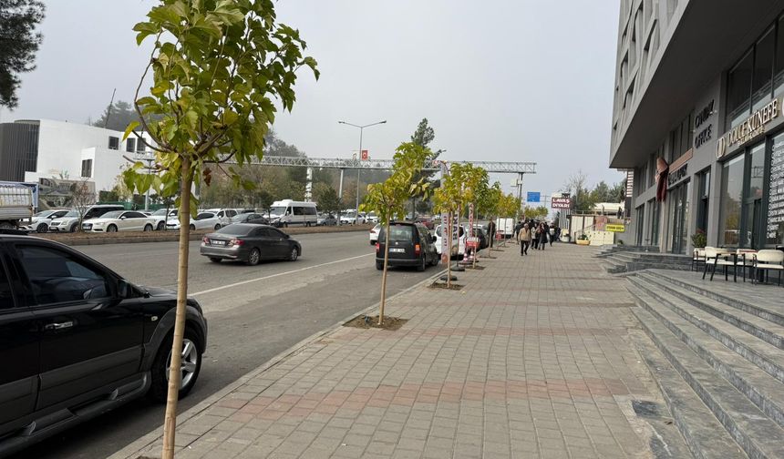 Turgut Özal Bulvarı’na Yeşil Dokunuş