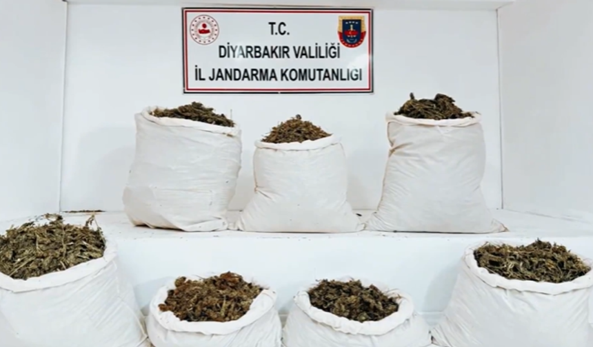 Helikopter ve İHA Destekli Narkotik Operasyonda 555 Kilo Uyuşturucu Ele Geçirildi: 25 Gözaltı