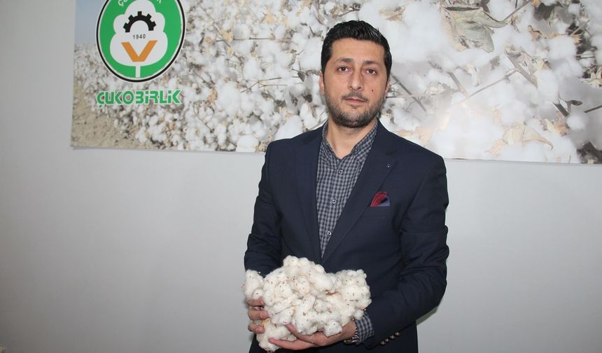 Destek artarsa pamuk alanları büyüyecek