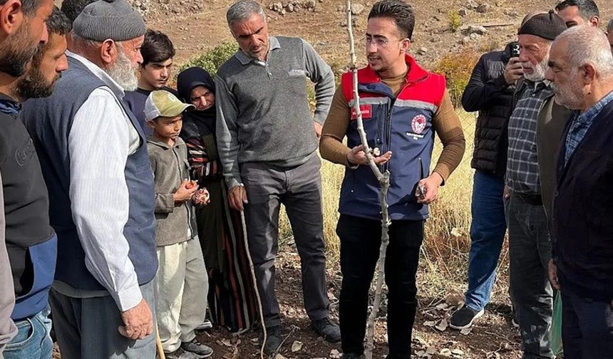 Siirt fıstığının doğru budama eğitimi verildi