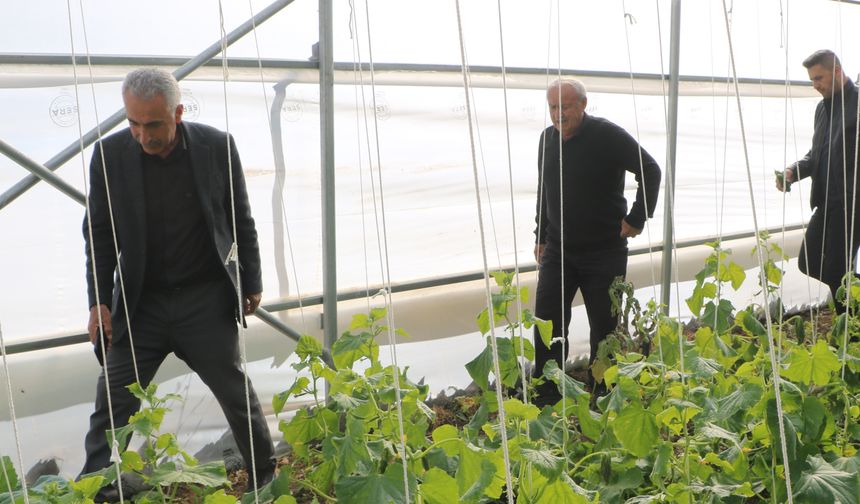 Köylerine dönüp üretime başladılar