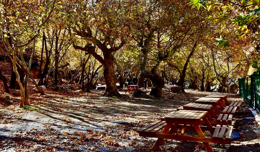 Batman'ın saklı cenneti olan mesire alanı nerede? Nasıl Gidilir?