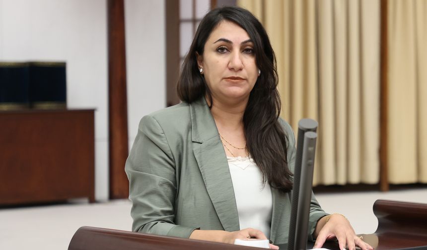 DEM Partili Oduncu: İşçi Sağlığı Ve Güvenliği Tehlikede