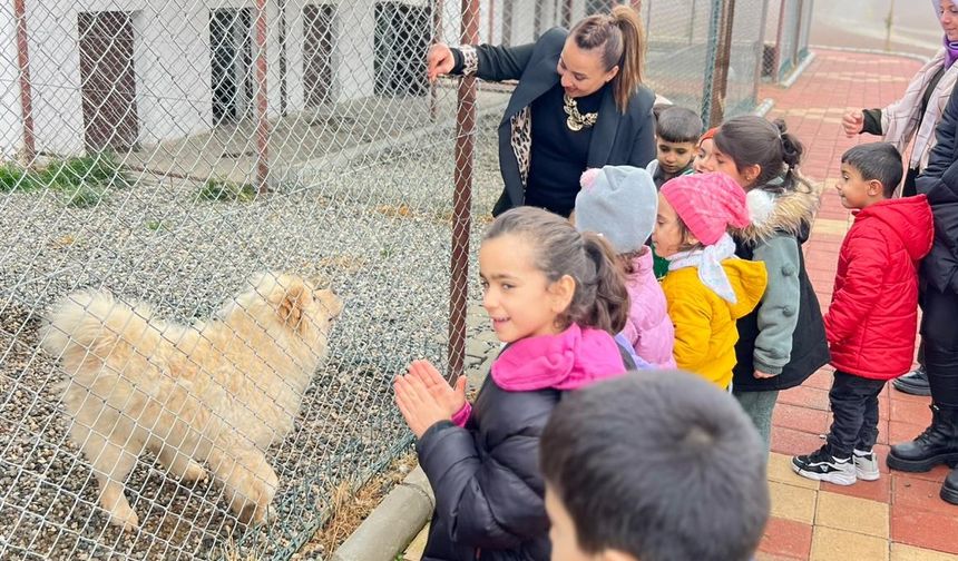 Minik Kalpler Can Dostlarıyla Buluştu