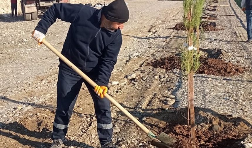 10 KİLOMETRELİK YÜRÜYÜŞ YOLU AĞAÇLANDIRILIYOR