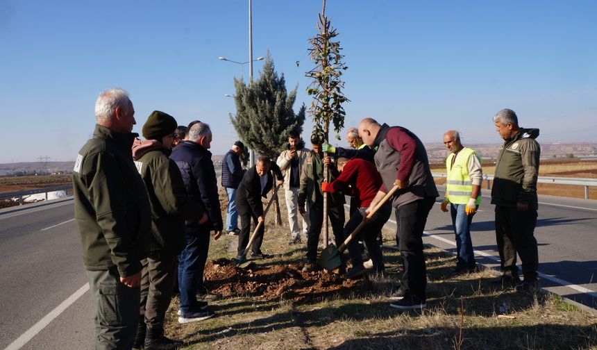 Yeşil Kuşak Projesine Üst Düzey İnceleme