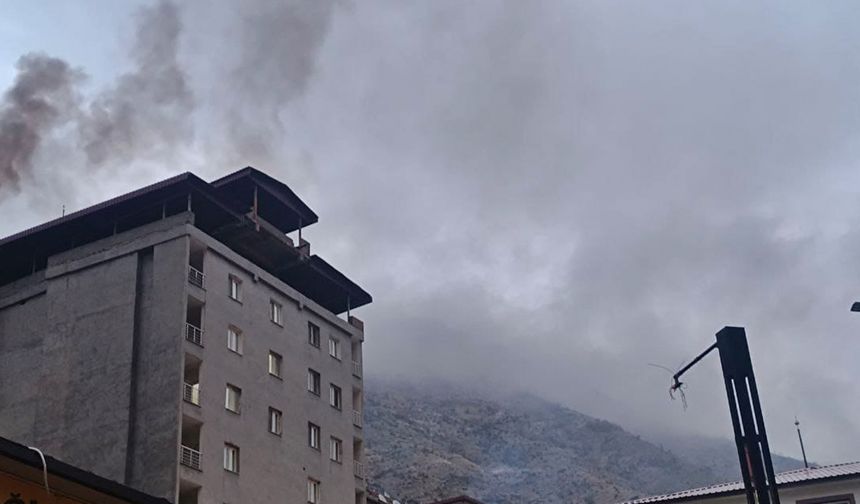 Uludere için "doğalgaz" çağrısı