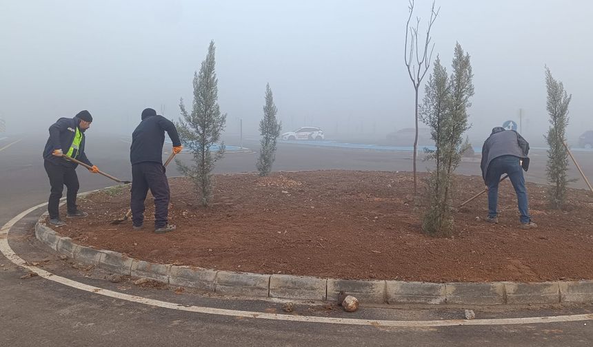 Sürücü Akademisi Yeşile Bürünüyor