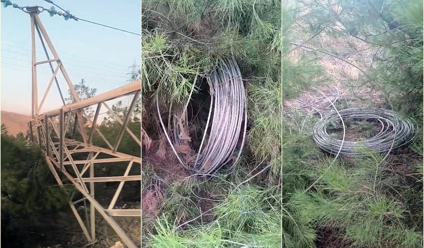 Direk hırsızları bölgeyi elektriksiz bıraktı