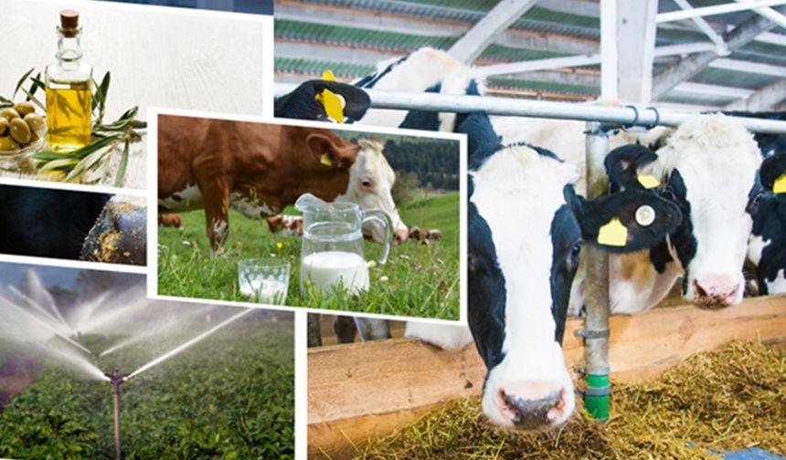 Çiftçilere tarımsal destekleme ödemesi yapılacak