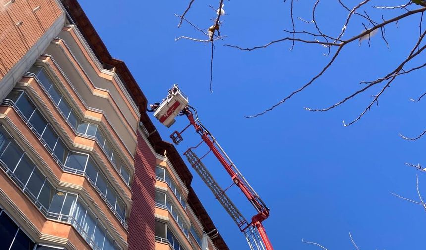 Batman’da Vicdan Isıttan Kurtuluş