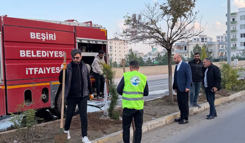 Beşiri’de Orta Refüjler Ağaçlandırılıyor