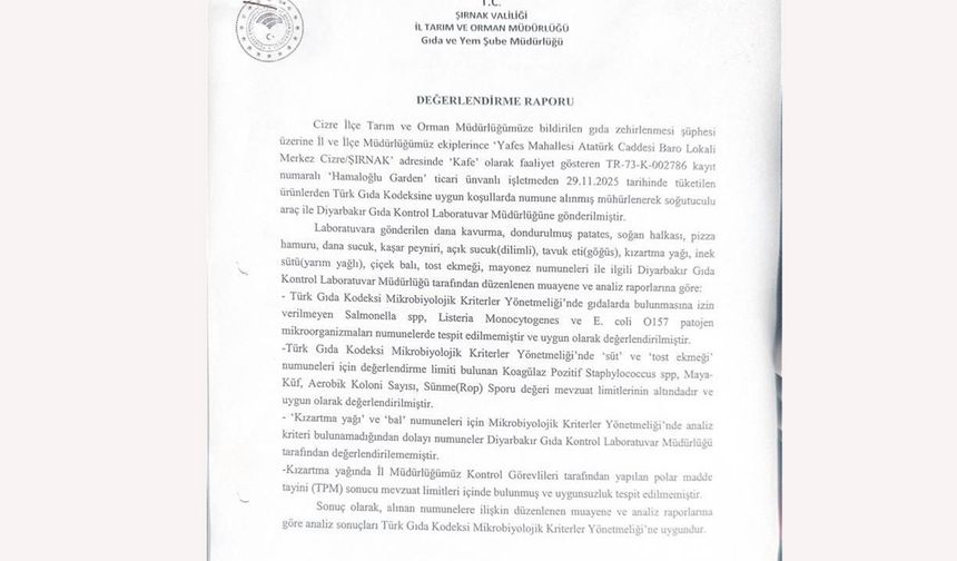 Şırnak'ta pizza yedikten sonra ölüm iddiası: İş yerinin gıda maddeleri temiz çıktı