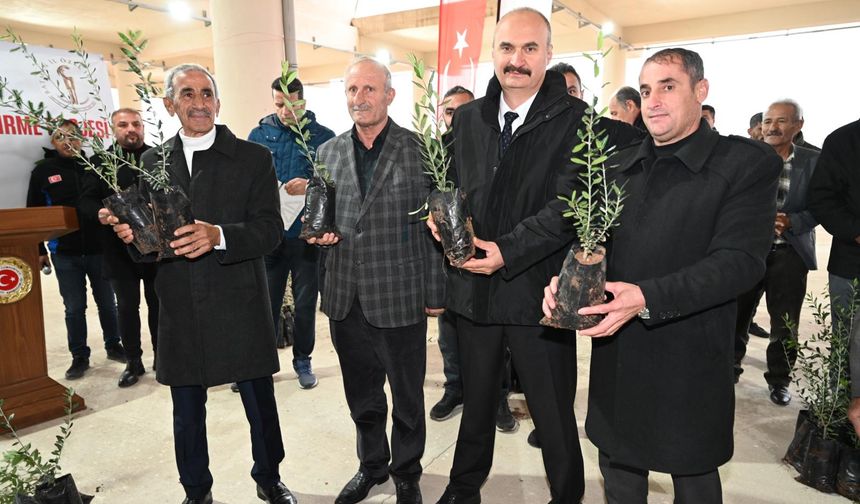 Hasankeyf’te Zeytin Devrimi: 29 Bin 500 Fidan Toprakla Buluştu