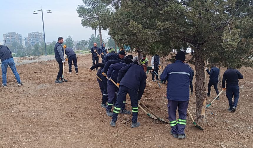 Yaşar Kemal Kent Parkı Yeşeriyor