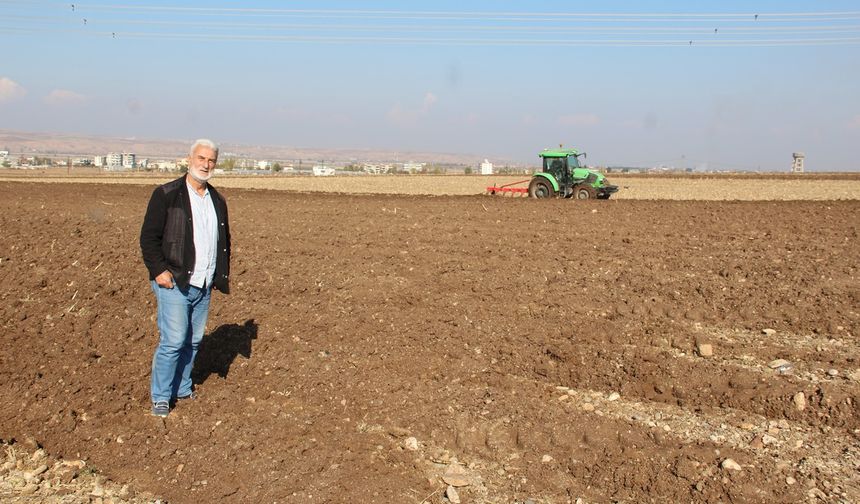 Arazi kiraları katlandı, çiftçi ayakta kalmakta zorlanıyor