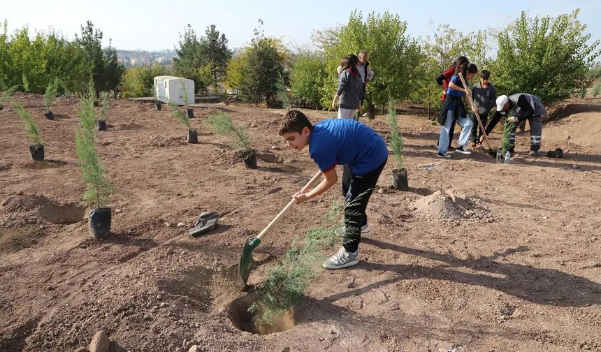 Gabar’da 100 bin fidan hedefiyle yeşil seferberlik başladı