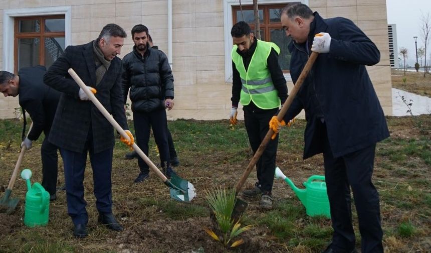 Azerbaycan Büyükelçisi Memmedov: Kardeşliğin Fidanlarını Dikiyoruz