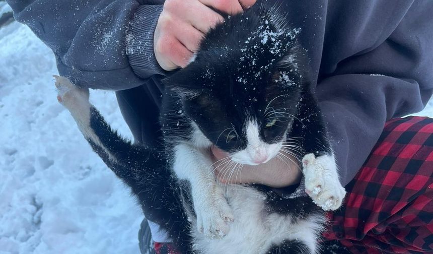 İtfaiye Ekipleri Soğukta Sıkışan Kediyi Hayata Döndürdü