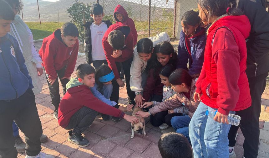 Öğrenciler Hayvan Bakım Merkezinde Empatiyi Öğrendi