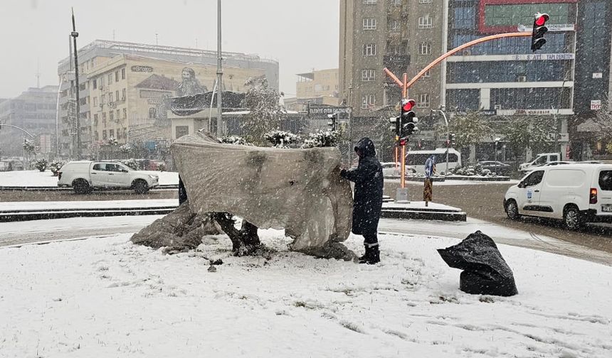 Zeytin Ağaçları Özel Örtüyle Korundu