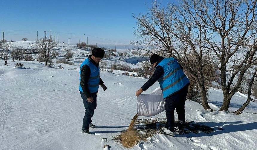 Batman’da Yaban hayvanları için yem, mama ve et bırakıldı