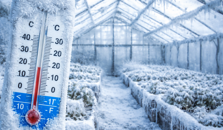 Batman’da Zirai Don uyarısı: Gece Sıcaklıkları -17 Derece