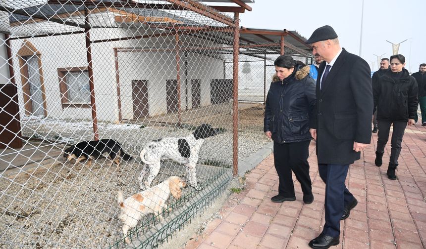 Vali Canalp’ten Kış Talimatı: Tek Bir İhtiyaç Eksik Kalmayacak