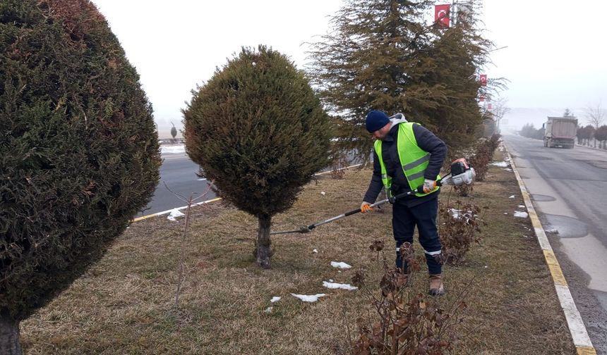 Ağaçlara Bahar Formu